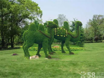 广州植物雕塑定制与绿植销售服务全面指南