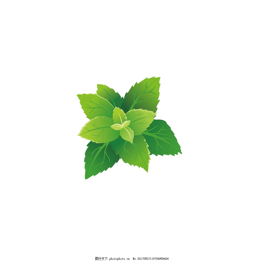 唯美手绘绿植 大自然的清新诗篇