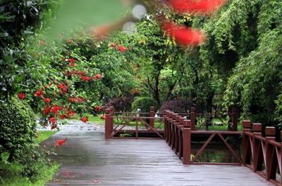 坚持绿色发展，全友产品通过碳足迹认证引领行业新潮流