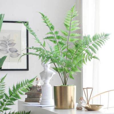 仿真绿色植物，装点生活每一天